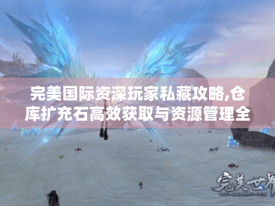 完美国际资深玩家私藏攻略,仓库扩充石高效获取与资源管理全解析 完美国际资深玩家私藏攻略,仓库扩充石高效获取与资源管理全解析