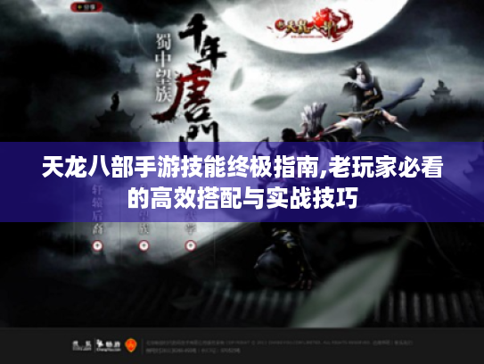 天龙八部手游技能终极指南,老玩家必看的高效搭配与实战技巧