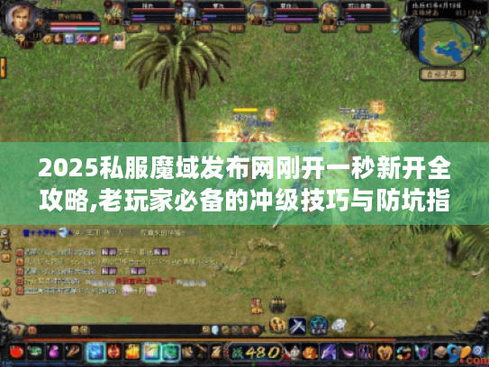 2025私服魔域发布网刚开一秒新开全攻略,老玩家必备的冲级技巧与防坑指南