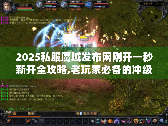 2025私服魔域发布网刚开一秒新开全攻略,老玩家必备的冲级技巧与防坑指南