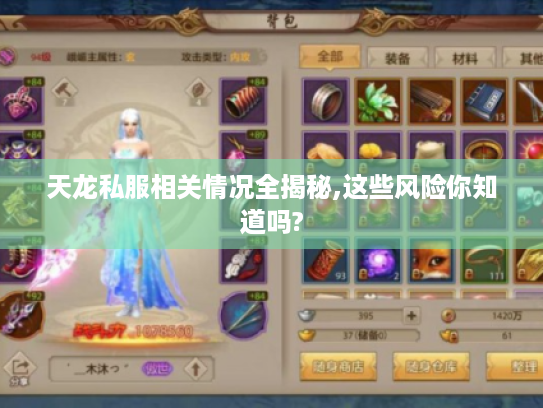 天龙私服相关情况全揭秘,这些风险你知道吗? 天龙私服相关情况全揭秘,这些风险你知道吗?