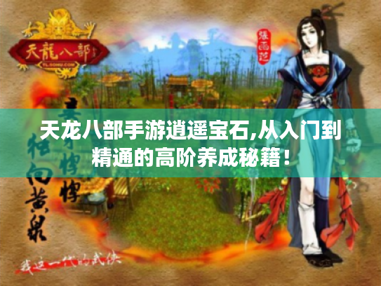 天龙八部手游逍遥宝石,从入门到精通的高阶养成秘籍! 天龙八部手游逍遥宝石,从入门到精通的高阶养成秘籍!