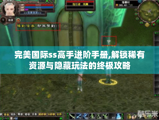 完美国际ss高手进阶手册,解锁稀有资源与隐藏玩法的终极攻略 完美国际ss高手进阶手册,解锁稀有资源与隐藏玩法的终极攻略