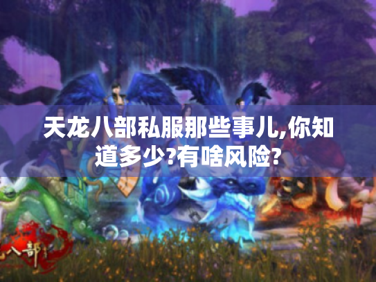 天龙八部私服那些事儿,你知道多少?有啥风险? 天龙八部私服那些事儿,你知道多少?有啥风险?