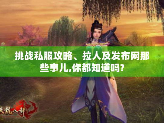 挑战私服攻略、拉人及发布网那些事儿,你都知道吗? 挑战私服攻略、拉人及发布网那些事儿,你都知道吗?