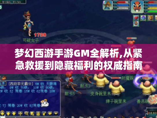 梦幻西游手游GM全解析,从紧急救援到隐藏福利的权威指南