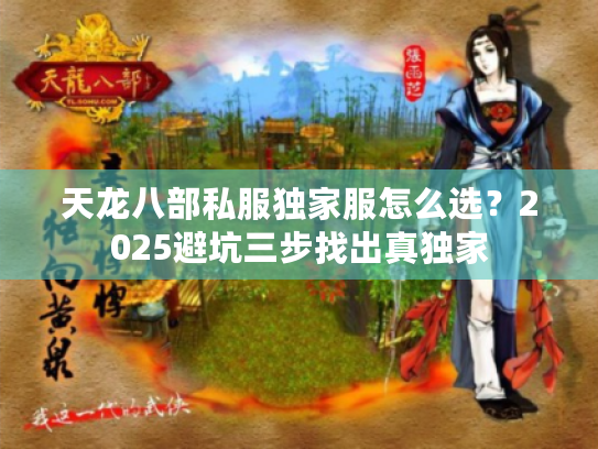 天龙八部私服独家服怎么选？2025避坑三步找出真独家