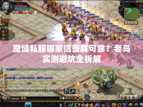 魔域私服哪家信誉真可靠？老鸟实测避坑全拆解