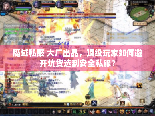 魔域私服 大厂出品,顶级玩家如何避开坑货选到安全私服? 魔域私服 大厂出品,顶级玩家如何避开坑货选到安全私服?
