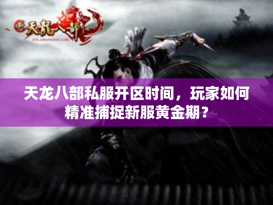 天龙八部私服开区时间,玩家如何精准捕捉新服黄金期? 天龙八部私服开区时间,玩家如何精准捕捉新服黄金期?