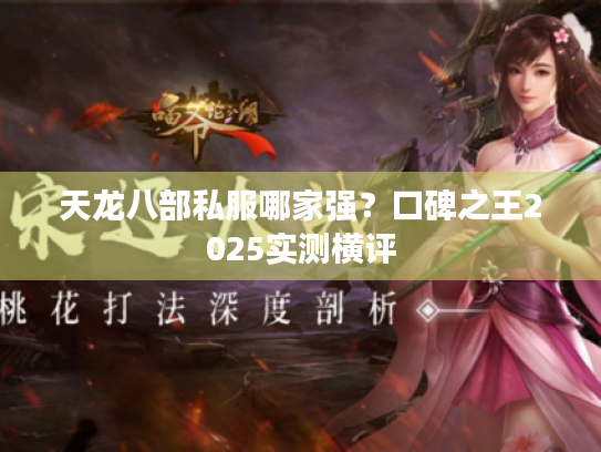 天龙八部私服哪家强?口碑之王2025实测横评 天龙八部私服哪家强?口碑之王2025实测横评