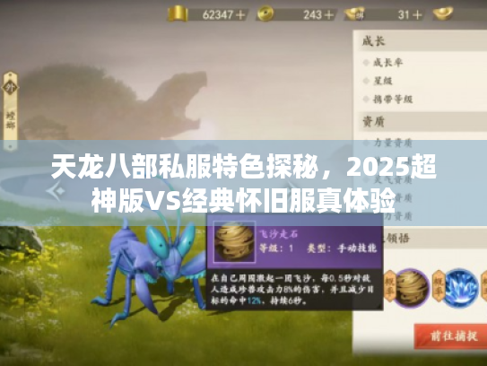 天龙八部私服特色探秘,2025超神版VS经典怀旧服真体验 天龙八部私服特色探秘,2025超神版VS经典怀旧服真体验