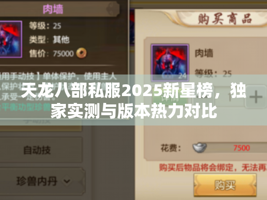天龙八部私服2025新星榜，独家实测与版本热力对比