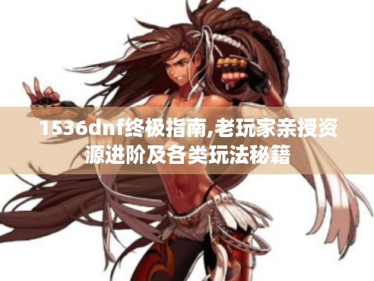 1536dnf终极指南,老玩家亲授资源进阶及各类玩法秘籍
