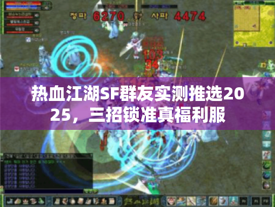 热血江湖SF群友实测推选2025,三招锁准真福利服 热血江湖SF群友实测推选2025,三招锁准真福利服
