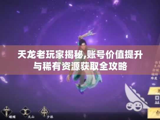 天龙老玩家揭秘,账号价值提升与稀有资源获取全攻略
