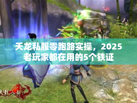 天龙私服零跑路实操，2025老玩家都在用的5个铁证