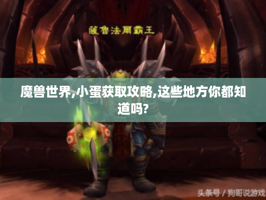 魔兽世界,小蛋获取攻略,这些地方你都知道吗? 魔兽世界,小蛋获取攻略,这些地方你都知道吗?