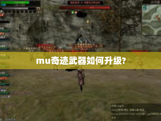 mu奇迹武器如何升级? mu奇迹武器如何升级?