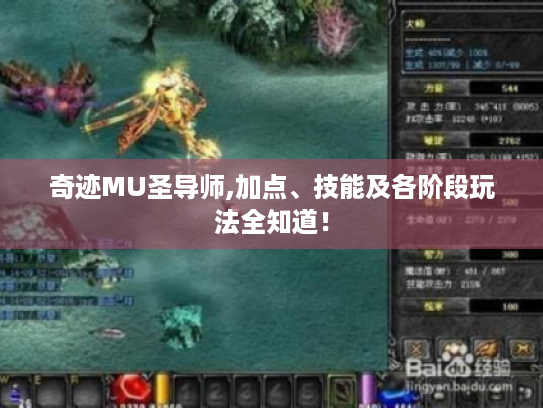 奇迹MU圣导师,加点、技能及各阶段玩法全知道! 奇迹MU圣导师,加点、技能及各阶段玩法全知道!