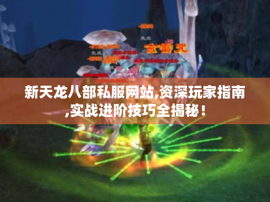新天龙八部私服网站,资深玩家指南,实战进阶技巧全揭秘! 新天龙八部私服网站,资深玩家指南,实战进阶技巧全揭秘!
