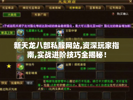 新天龙八部私服网站,资深玩家指南,实战进阶技巧全揭秘! 新天龙八部私服网站,资深玩家指南,实战进阶技巧全揭秘!