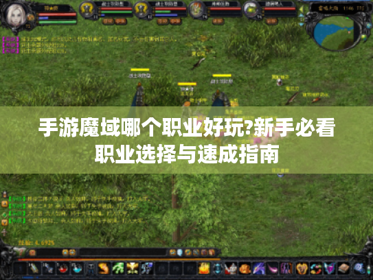 手游魔域哪个职业好玩?新手必看职业选择与速成指南