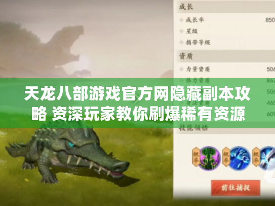 天龙八部游戏官方网隐藏副本攻略 资深玩家教你刷爆稀有资源 天龙八部游戏官方网隐藏副本攻略 资深玩家教你刷爆稀有资源