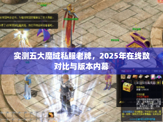 实测五大魔域私服老牌,2025年在线数对比与版本内幕 实测五大魔域私服老牌,2025年在线数对比与版本内幕