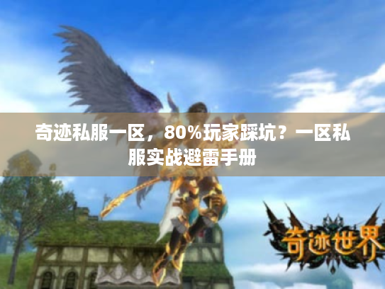 奇迹私服一区，80%玩家踩坑？一区私服实战避雷手册