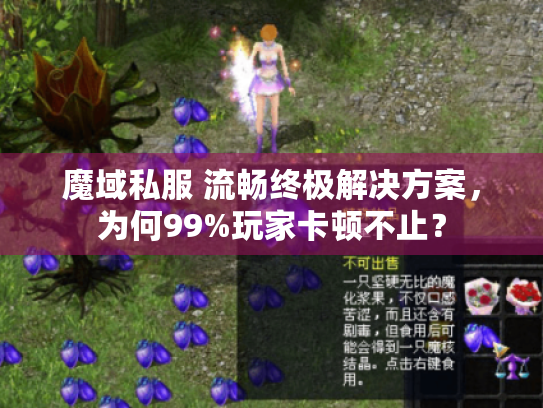 魔域私服 流畅终极解决方案,为何99%玩家卡顿不止? 魔域私服 流畅终极解决方案,为何99%玩家卡顿不止?