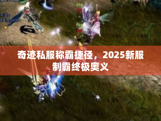 奇迹私服称霸捷径,2025新服制霸终极奥义 奇迹私服称霸捷径,2025新服制霸终极奥义