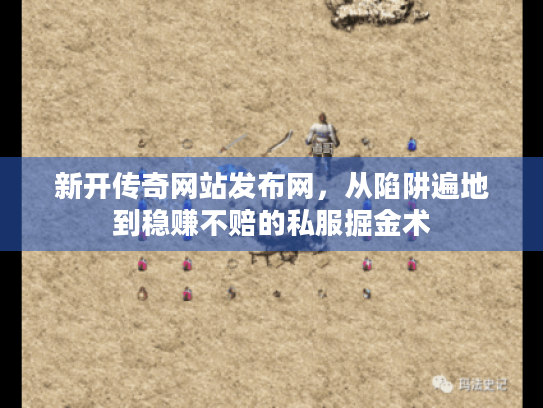 新开传奇网站发布网，从陷阱遍地到稳赚不赔的私服掘金术