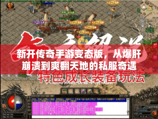 新开传奇手游变态版，从爆肝崩溃到爽翻天地的私服奇遇