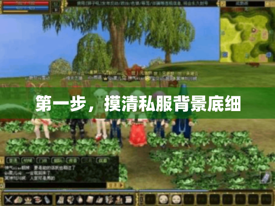 第一步,摸清私服背景底细 第一步,摸清私服背景底细