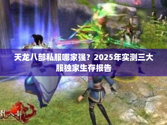 天龙八部私服哪家强?2025年实测三大服独家生存报告 天龙八部私服哪家强?2025年实测三大服独家生存报告