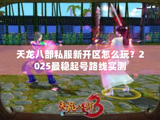 天龙八部私服新开区怎么玩?2025最稳起号路线实测 天龙八部私服新开区怎么玩?2025最稳起号路线实测