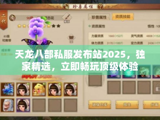 天龙八部私服发布站2025,独家精选,立即畅玩顶级体验 天龙八部私服发布站2025,独家精选,立即畅玩顶级体验