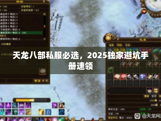 天龙八部私服必选,2025独家避坑手册速领 天龙八部私服必选,2025独家避坑手册速领