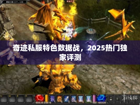 奇迹私服特色数据战，2025热门独家评测