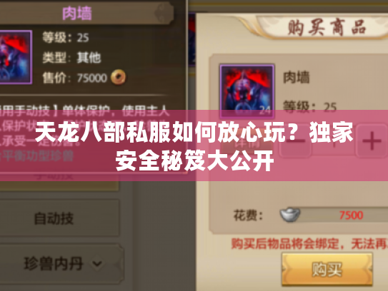 天龙八部私服如何放心玩?独家安全秘笈大公开 天龙八部私服如何放心玩?独家安全秘笈大公开