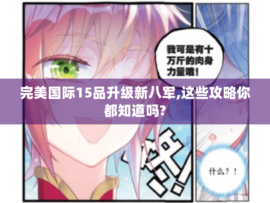 完美国际15品升级新八军,这些攻略你都知道吗? 完美国际15品升级新八军,这些攻略你都知道吗?
