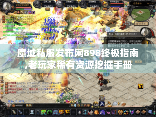 魔域私服发布网898终极指南,老玩家稀有资源挖掘手册