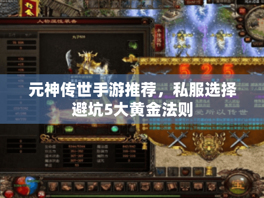 元神传世手游推荐,私服选择避坑5大黄金法则 元神传世手游推荐,私服选择避坑5大黄金法则