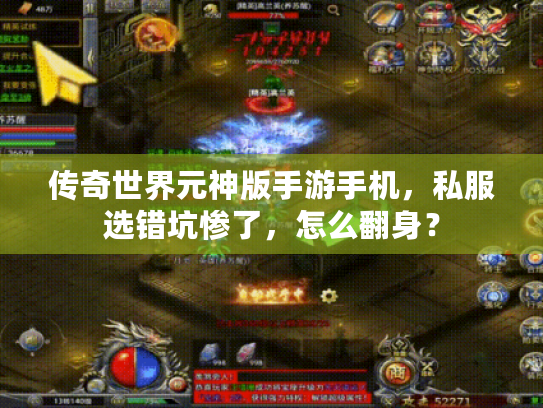 传奇世界元神版手游手机,私服选错坑惨了,怎么翻身? 传奇世界元神版手游手机,私服选错坑惨了,怎么翻身?