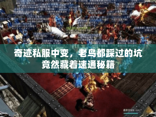 奇迹私服中变,老鸟都踩过的坑竟然藏着速通秘籍 奇迹私服中变,老鸟都踩过的坑竟然藏着速通秘籍