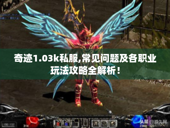 奇迹1.03k私服,常见问题及各职业玩法攻略全解析! 奇迹1.03k私服,常见问题及各职业玩法攻略全解析!