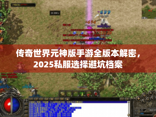 传奇世界元神版手游全版本解密,2025私服选择避坑档案 传奇世界元神版手游全版本解密,2025私服选择避坑档案