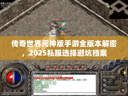 传奇世界元神版手游全版本解密,2025私服选择避坑档案 传奇世界元神版手游全版本解密,2025私服选择避坑档案