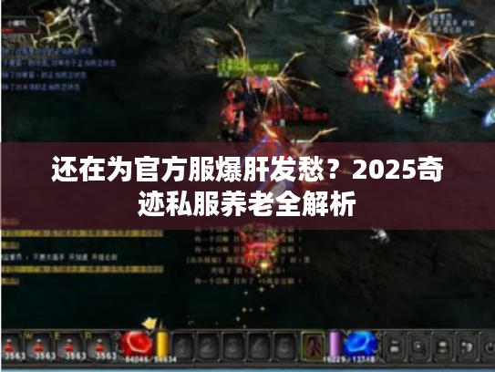 还在为官方服爆肝发愁？2025奇迹私服养老全解析